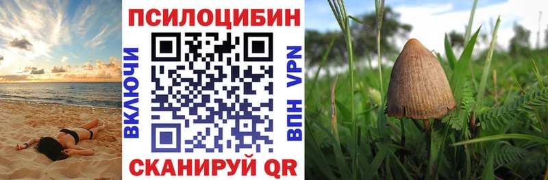 Псилоцибиновые грибы мухоморы  Купить  Курчалой 